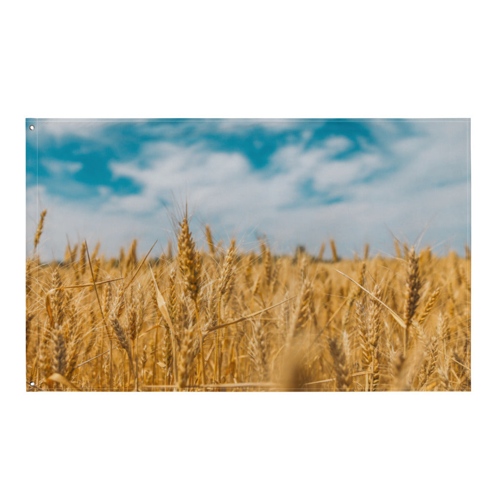 Ukrainian Flag (Sky and Wheat)